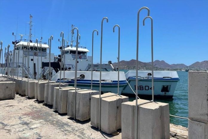 The concrete blocks have hooks designed to snag fishing nets in the no-fishing zone.