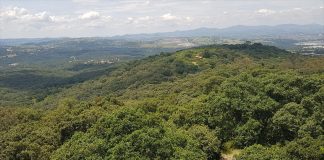 Flor del Bosque, the park recently declared a protected area by the state.