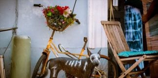 Frida poses in her skeleton costume.