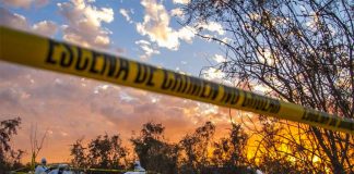 Forensic investigators at a grave site in Michoacán.