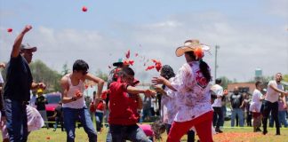 Tomato warriors battle at Sunday's Jitomatiza in Hidalgo.