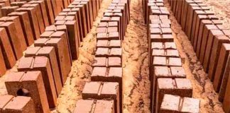 bricks made with sargassum collected on Mexican beaches