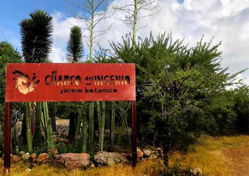 Entrance to Charco del Ingenio garden San Miguel de Allende