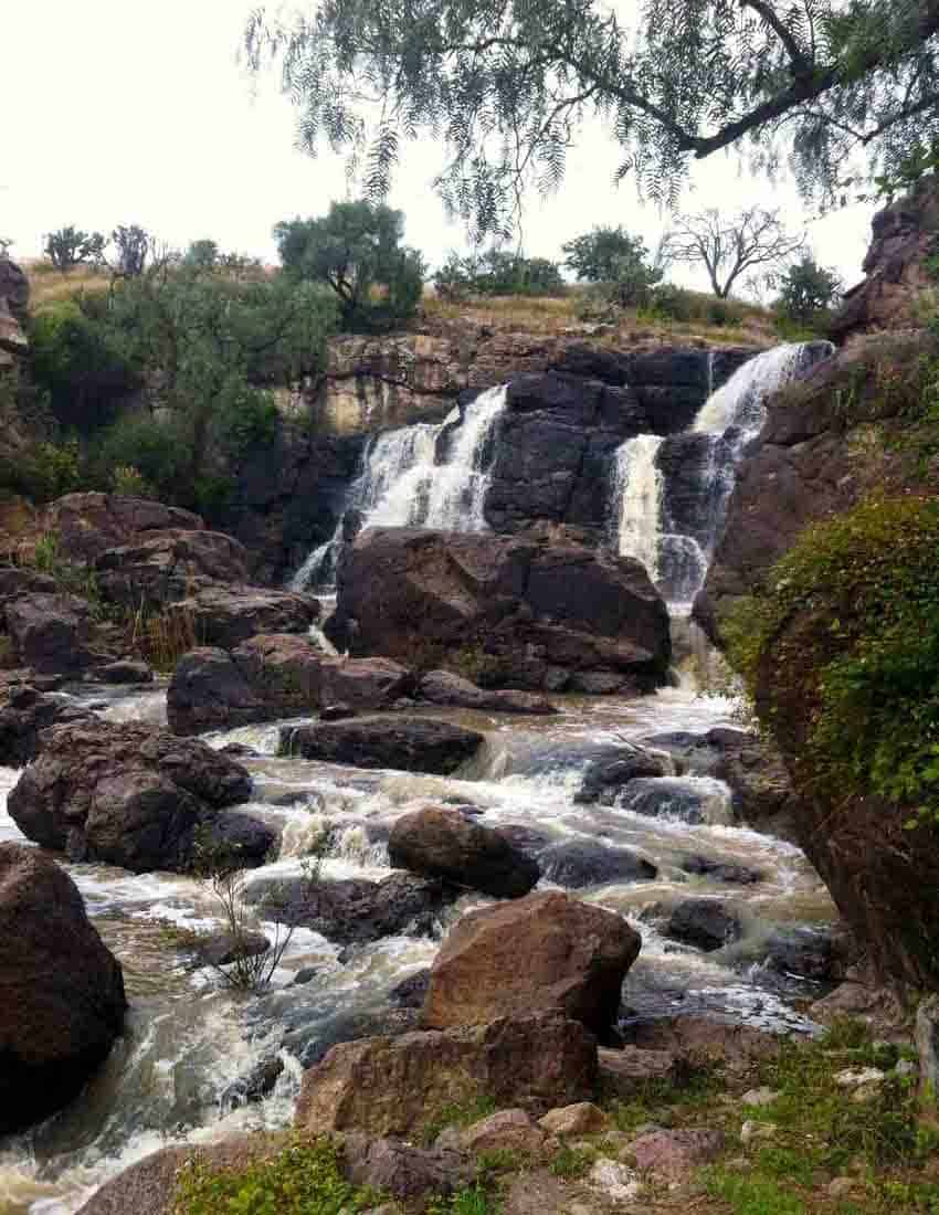 Charco del Ingenio garden San Miguel de Allende