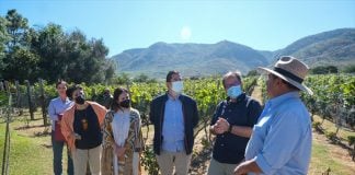 Don Serapio's vineyard, Viñedos El Tejón, was one of the first in the area.