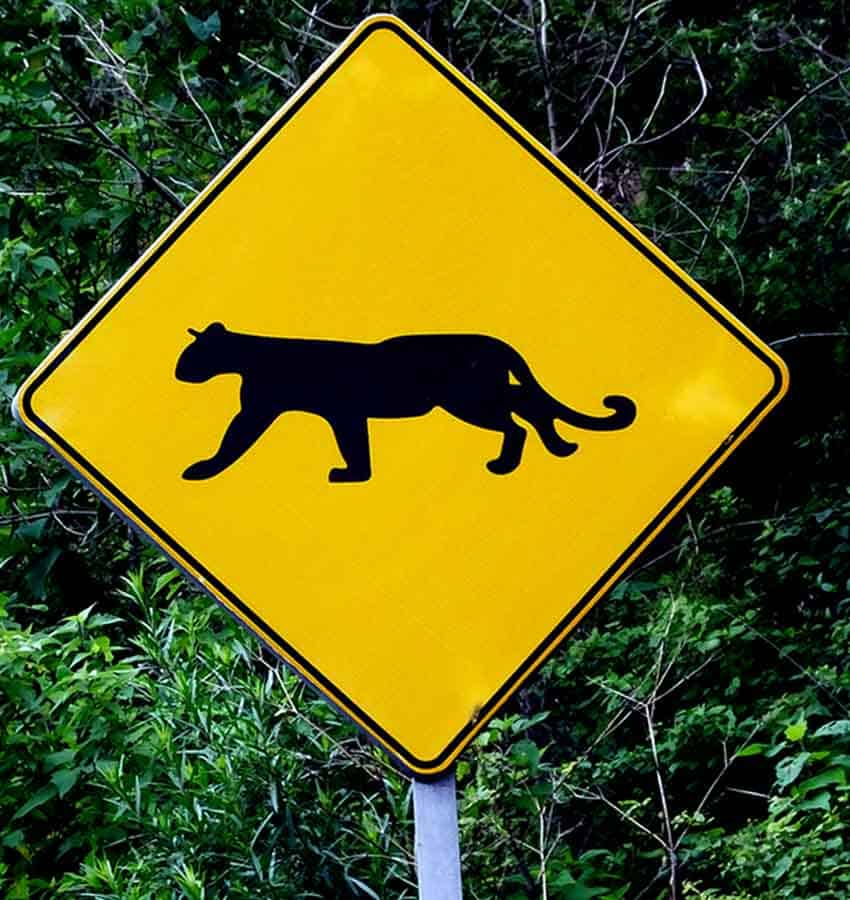 Caution sign for big cats at Potrero de Mulas wildlife reserve, Jalisco