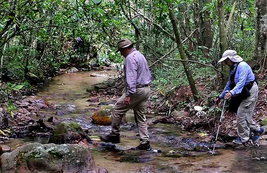 Potrero de Mulas wildlife reserve, Jalisco