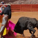 bullfighting event in Zacatecas city