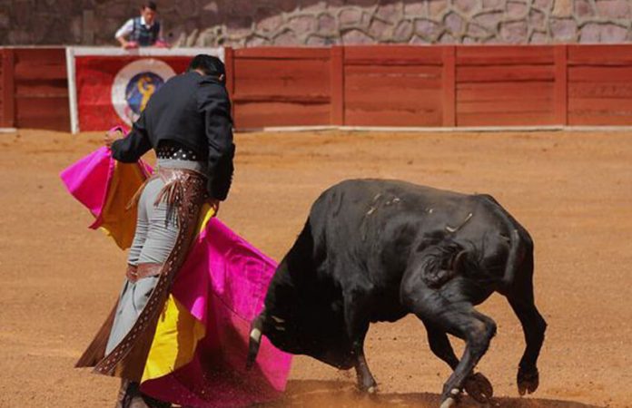 bullfighting event in Zacatecas city