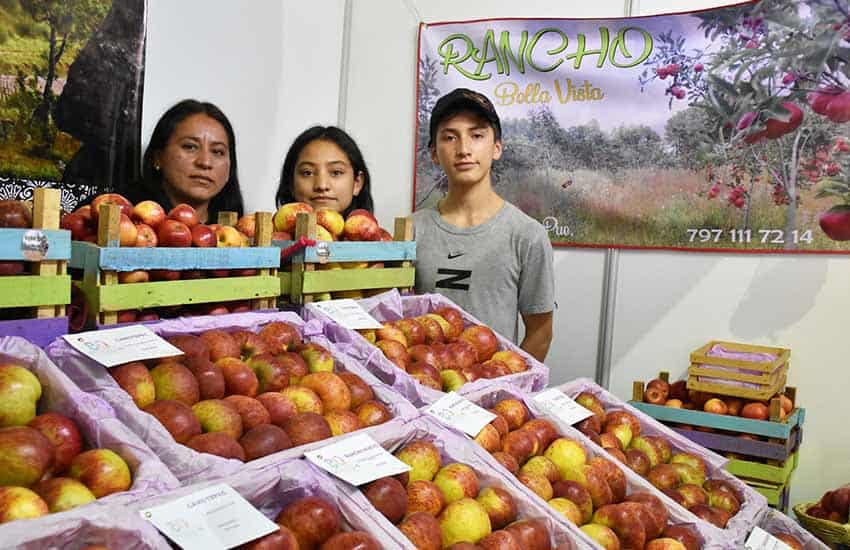 apple growers in Zacatlan, Puebla Bella Vista farm