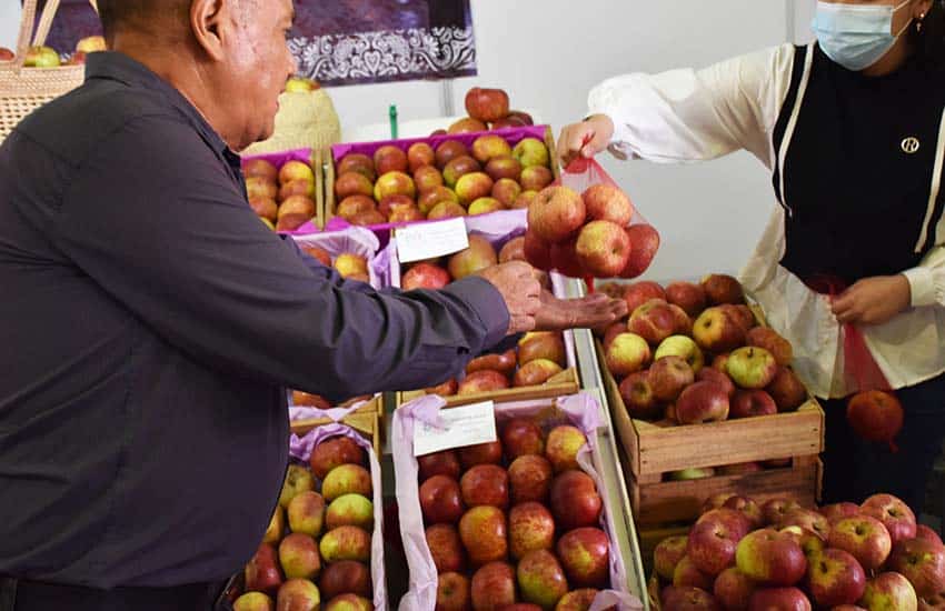 Zacatlan Apple Harvest Fair in Puebla