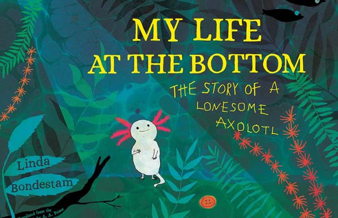 My Life at the Bottom by Linda Bondestam