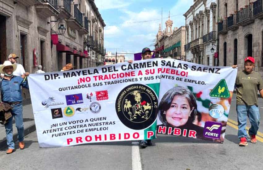 pro-bullfighting protest in Morelia, Michoacan