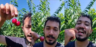 Walter Enciso went viral on TikTok after sharing tips for getting seasonal farm work.