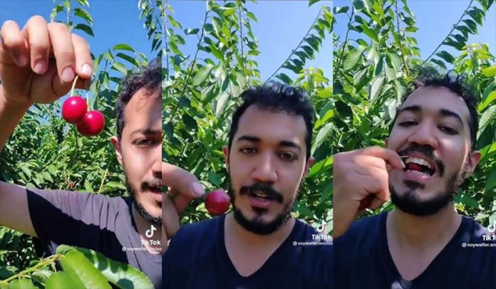 Walter Enciso went viral on TikTok after sharing tips for getting seasonal farm work.