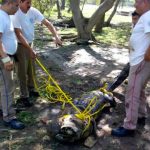 Officials capture a crocodile for relocation in Tamaulipas.