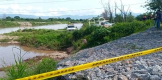 puerto vallarta crocodile attack