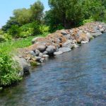 The Cuautla River in Morelos.