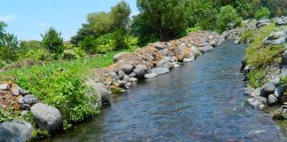 The Cuautla River in Morelos.
