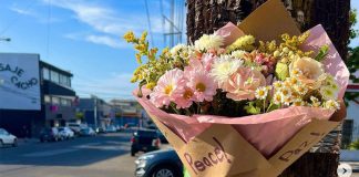 Flowers carry message of peace in Tijuana.
