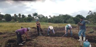 Farmers in Cuautla, Morelos