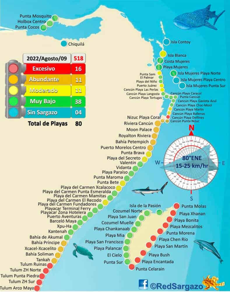 16 beaches were identified as having excessive amounts of sargassum Tuesday morning.