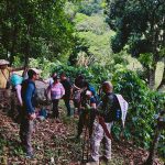 Hikers take a break in a coffee field in Cosautlán as they follow one of the proposed routes, which is currently a narrow, overgrown footpath.