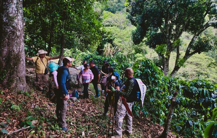 Hikers take a break in a coffee field in Cosautlán as they follow one of the proposed routes, which is currently a narrow, overgrown footpath.