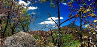 Piedras de bola stones in Jalisco, Mexico