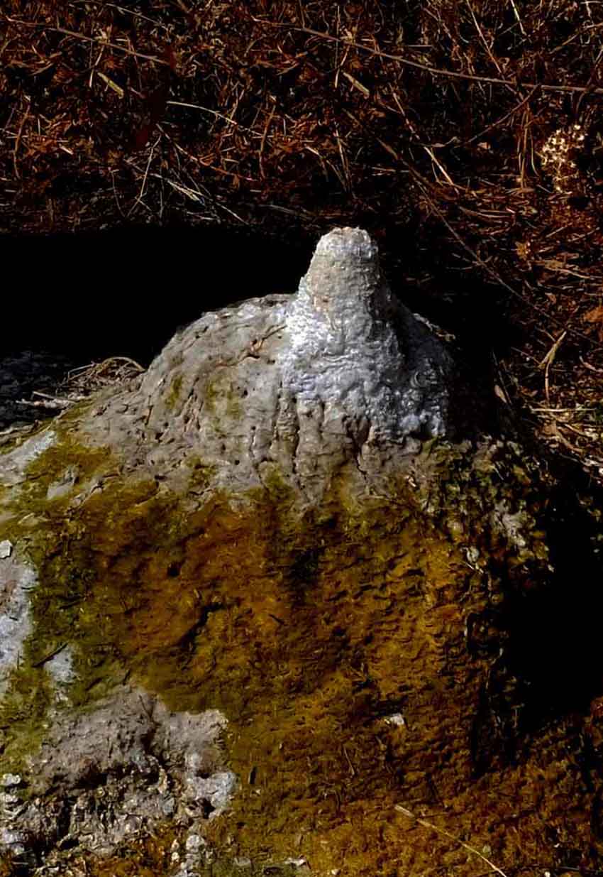 geyser along Jalisco's Rio Soledad