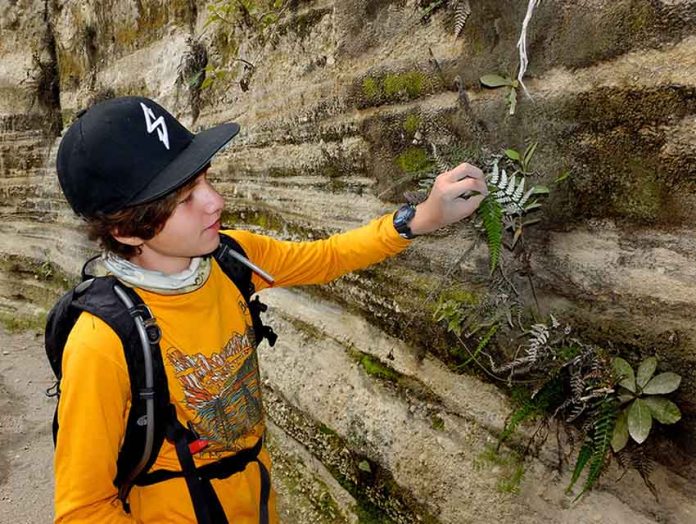 boy in Mexico looking at a silverback fern
