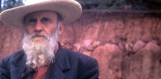 Mexican Painter Dr. Atl