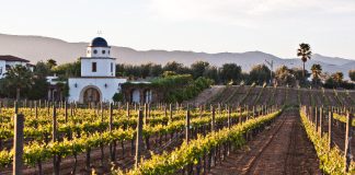 Valle de Guadalupe winery