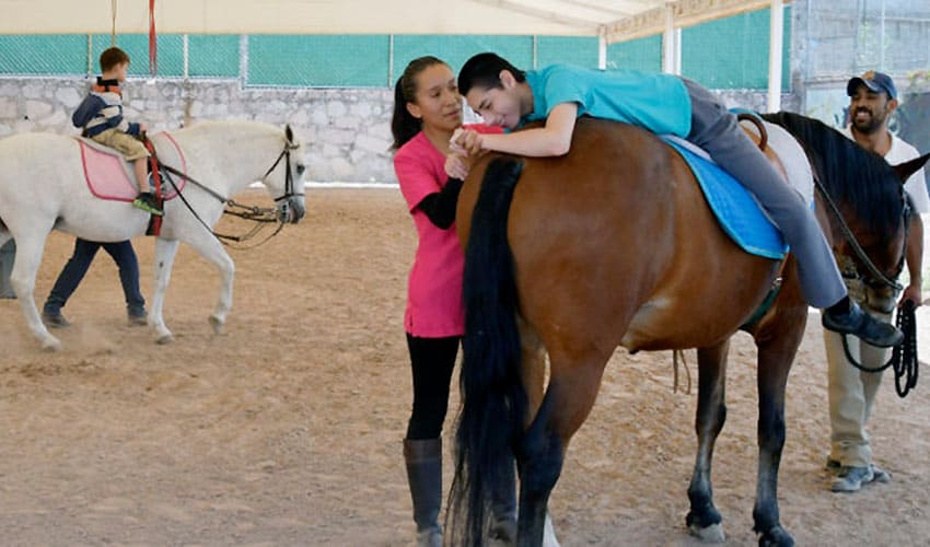 DIF equine therapy program Atizapan, Mexico state