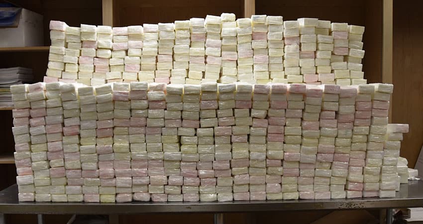 cocaine seizure