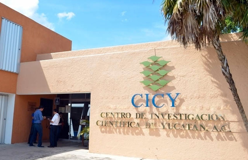 Yucatan Scientific Research Center in Merida
