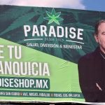 Vicente Fox's marijuana