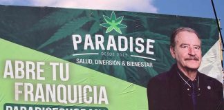 Vicente Fox's marijuana