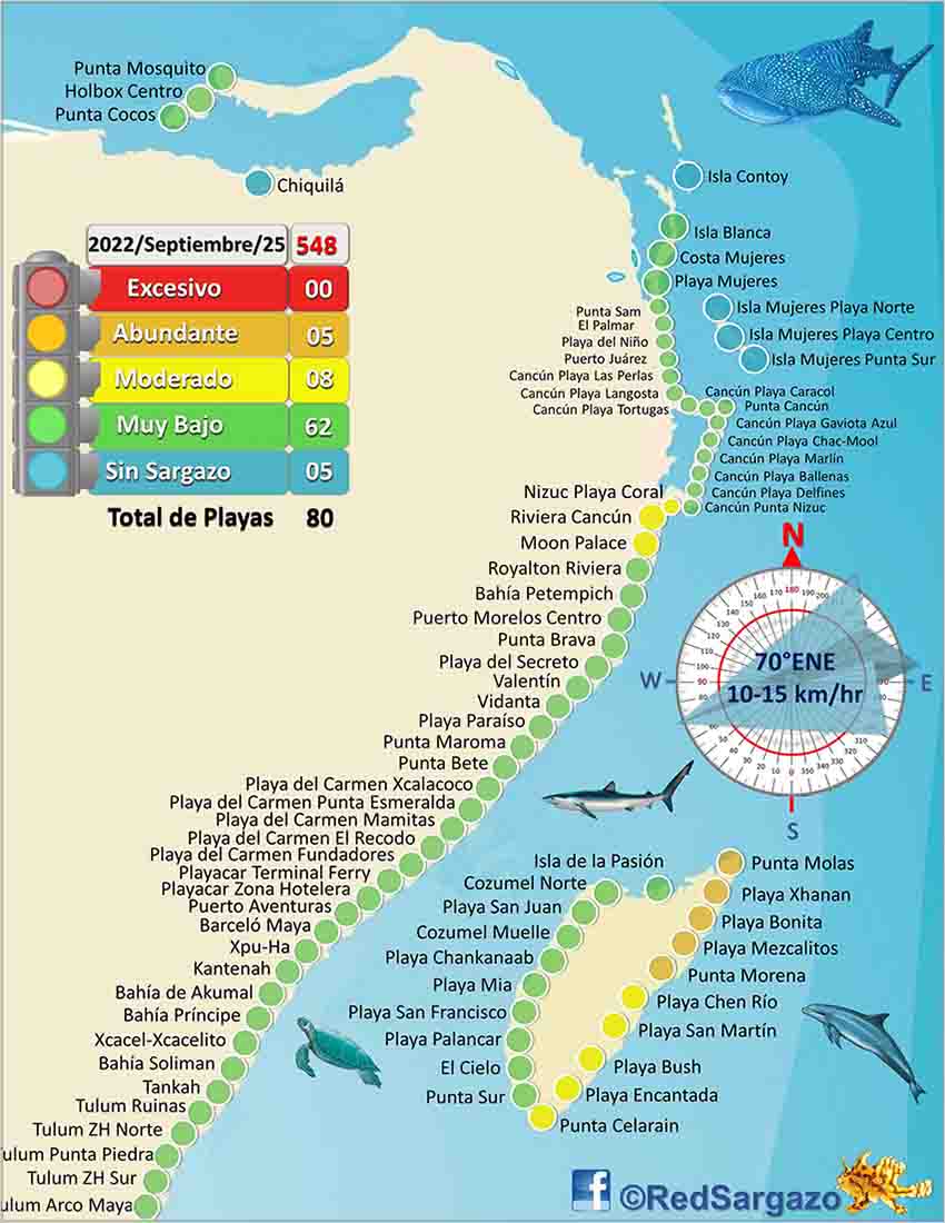 Quintana Roo Sargassum Monitoring Network's map