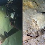Skeleton pieces found in Tulum cave