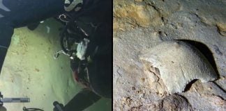 Skeleton pieces found in Tulum cave