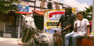 horse drawn garbage collectors in Tultepec, Mexico state