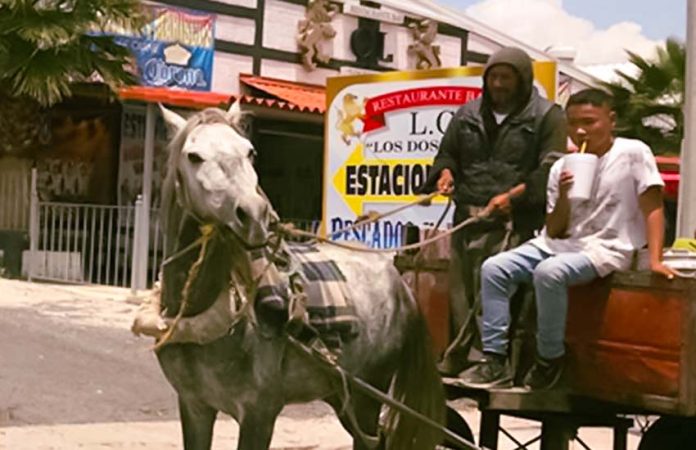 horse drawn garbage collectors in Tultepec, Mexico state