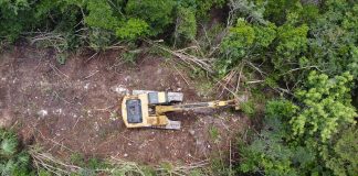 Heavy machinery clears a section of jungle to make way for the Maya Train.