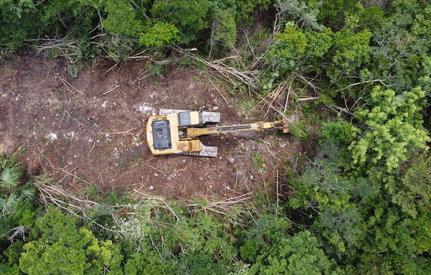Maquinaria pesada despeja un tramo de selva para dar paso al Tren Maya.
