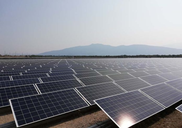 solar farm in Jalisco