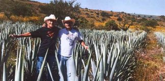 Sandy & Daniel tequila owners with their blue agave