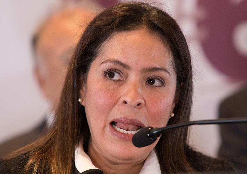 Mexican federal Deputy Karen Castrejon