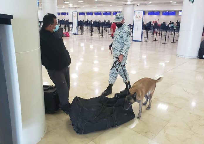 National Guardsman veracruz airport