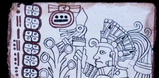 Ancient Maya manuscript